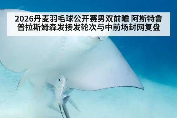 2026丹麦羽毛球公开赛男双前瞻 阿斯特鲁普拉斯姆森发接发轮次与中前场封网复盘